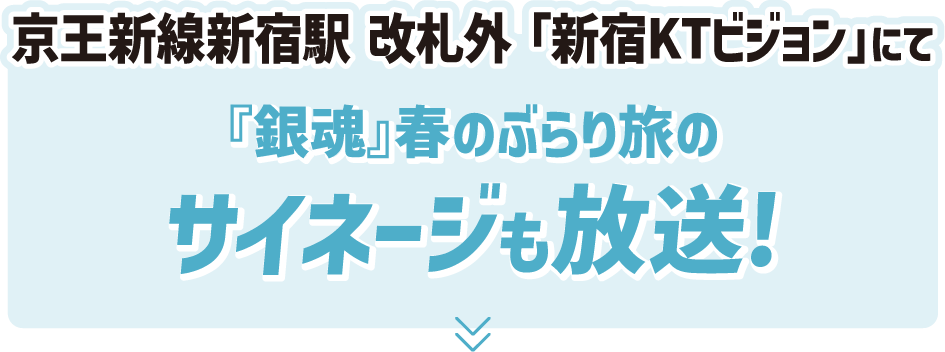 『銀魂』春のぶらり旅のサイネージも放送!